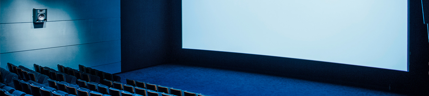 Movie theater with audio visual (AV) planning, design and execution.