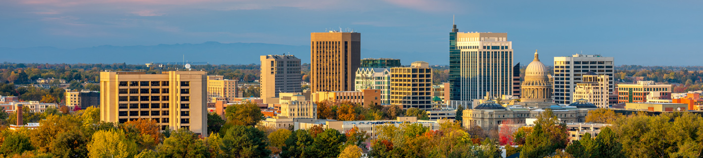 Boise ID Skyline