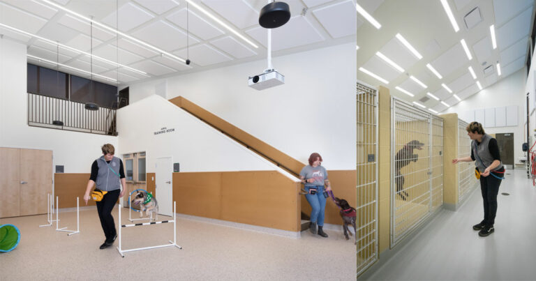 ABD Engineering & Design’s acoustical consulting for the Oregon Humane Society’s (OHS) Portland campus was especially important for animals.